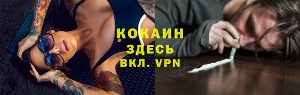 сатива Балахна