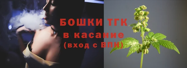сатива Балахна
