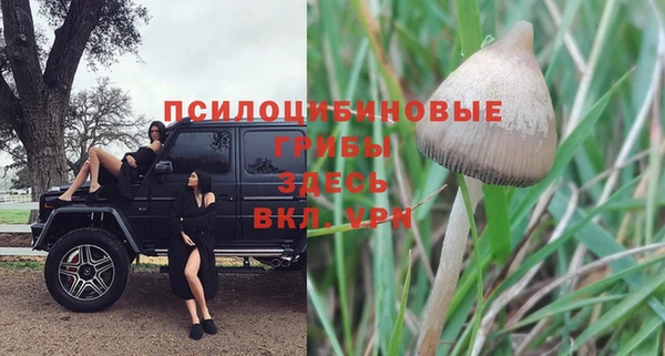 сатива Балахна