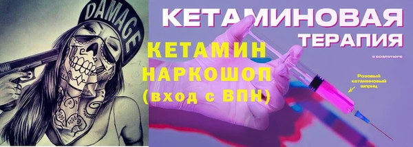 сатива Балахна