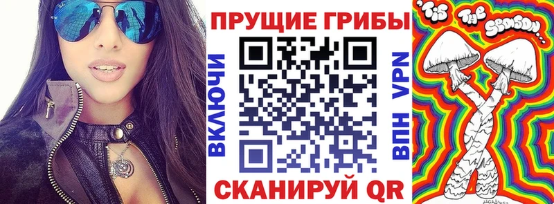 omg tor  Заозёрск  Псилоцибиновые грибы мицелий 